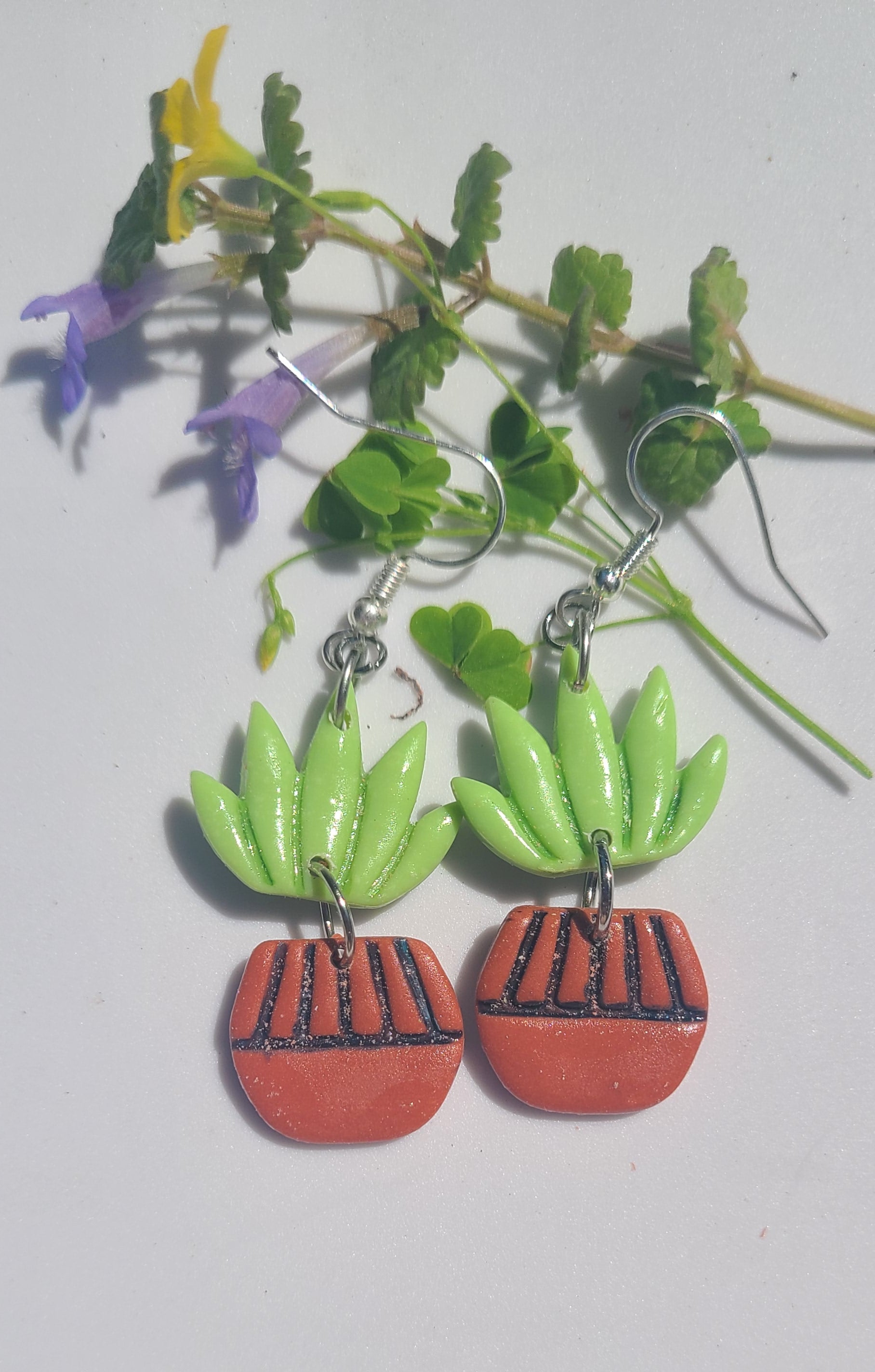 Cactus Version 6
